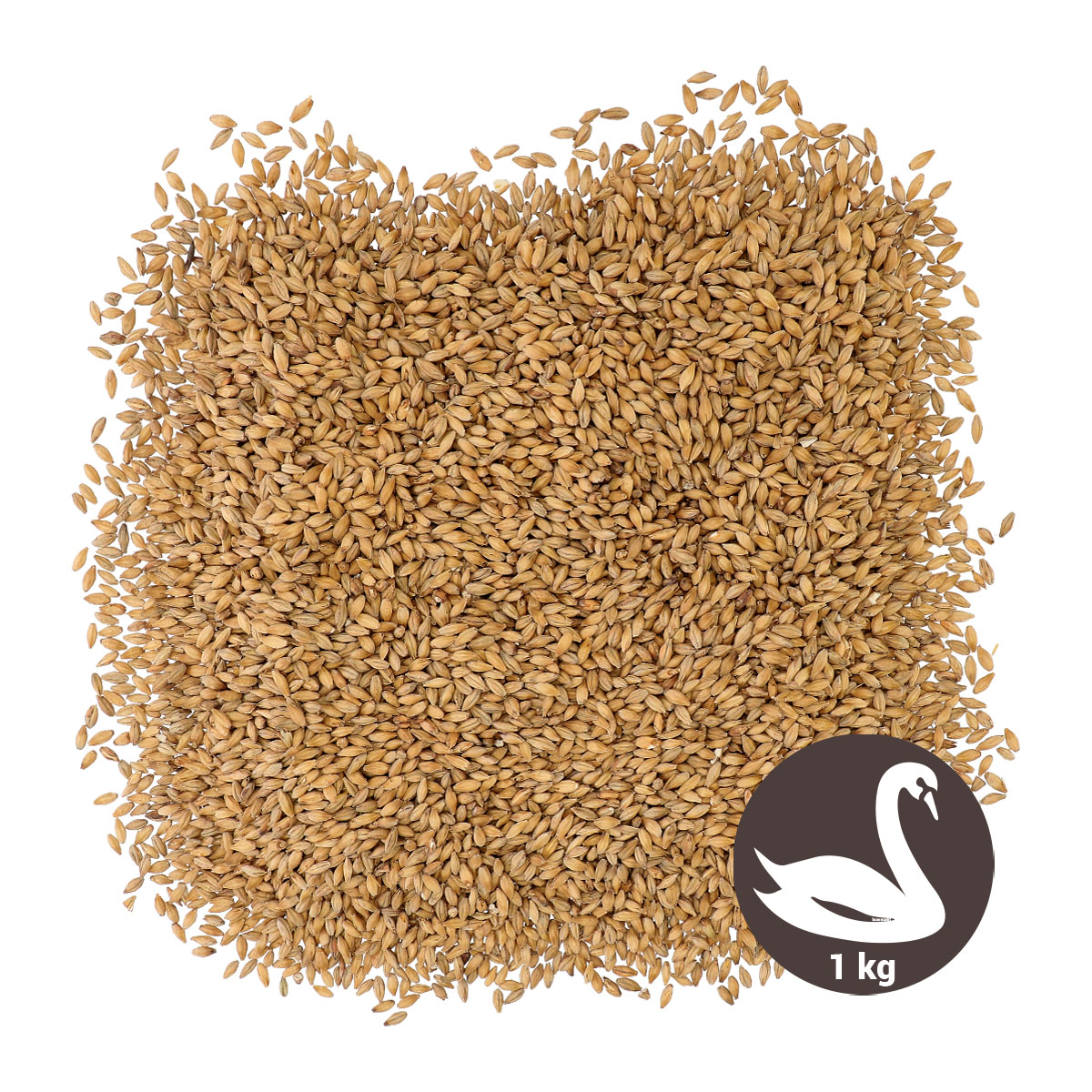 BlackSwaen Biscuit 1 kg