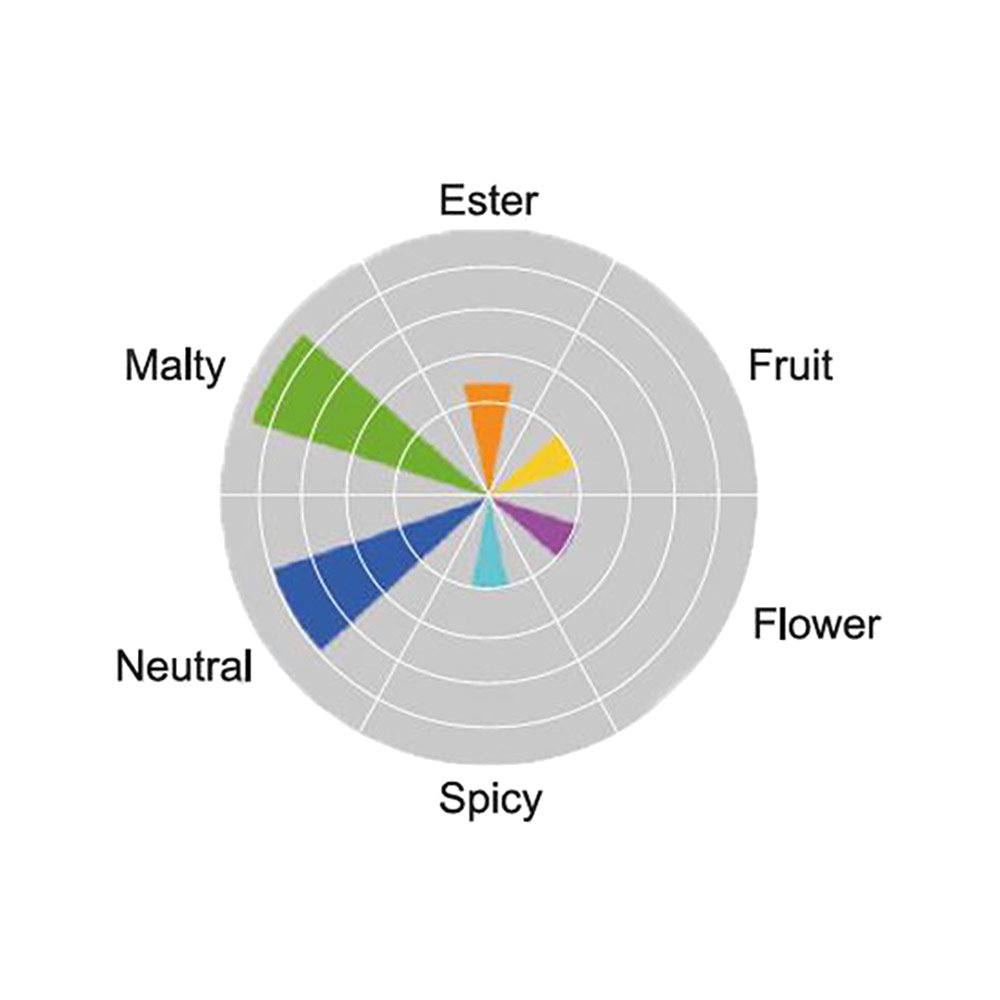 Angel WA18 bovengistende droge gist - 500 g THT14.06.2025