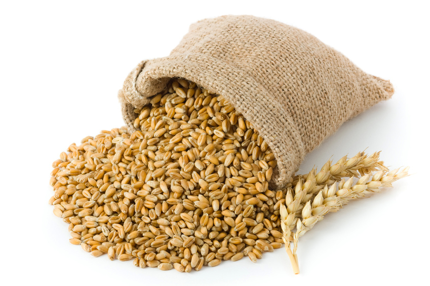 Bioland speltmout (3 - 7 EBC) - 25 kg zak - ongemalen