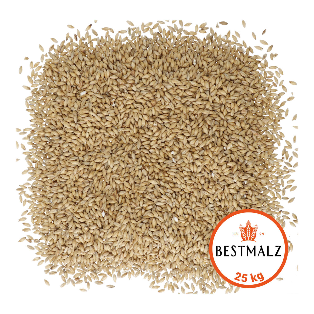 Bestmalz Diastatic malt 25 kg
