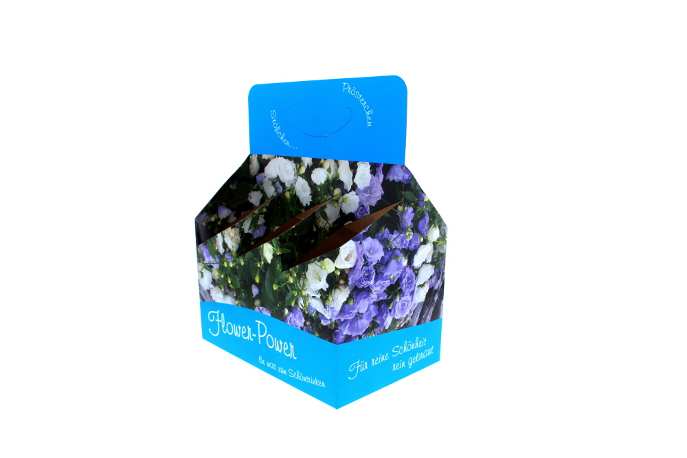 Flessenhouder 6-pack van karton - Motief Lady like