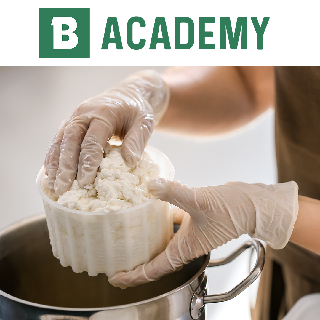 Käsekurs: Käse machen für Anfänger