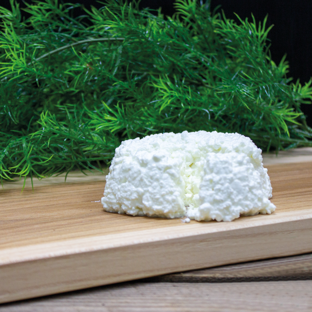Making your own ricotta cheese: an easy recipe