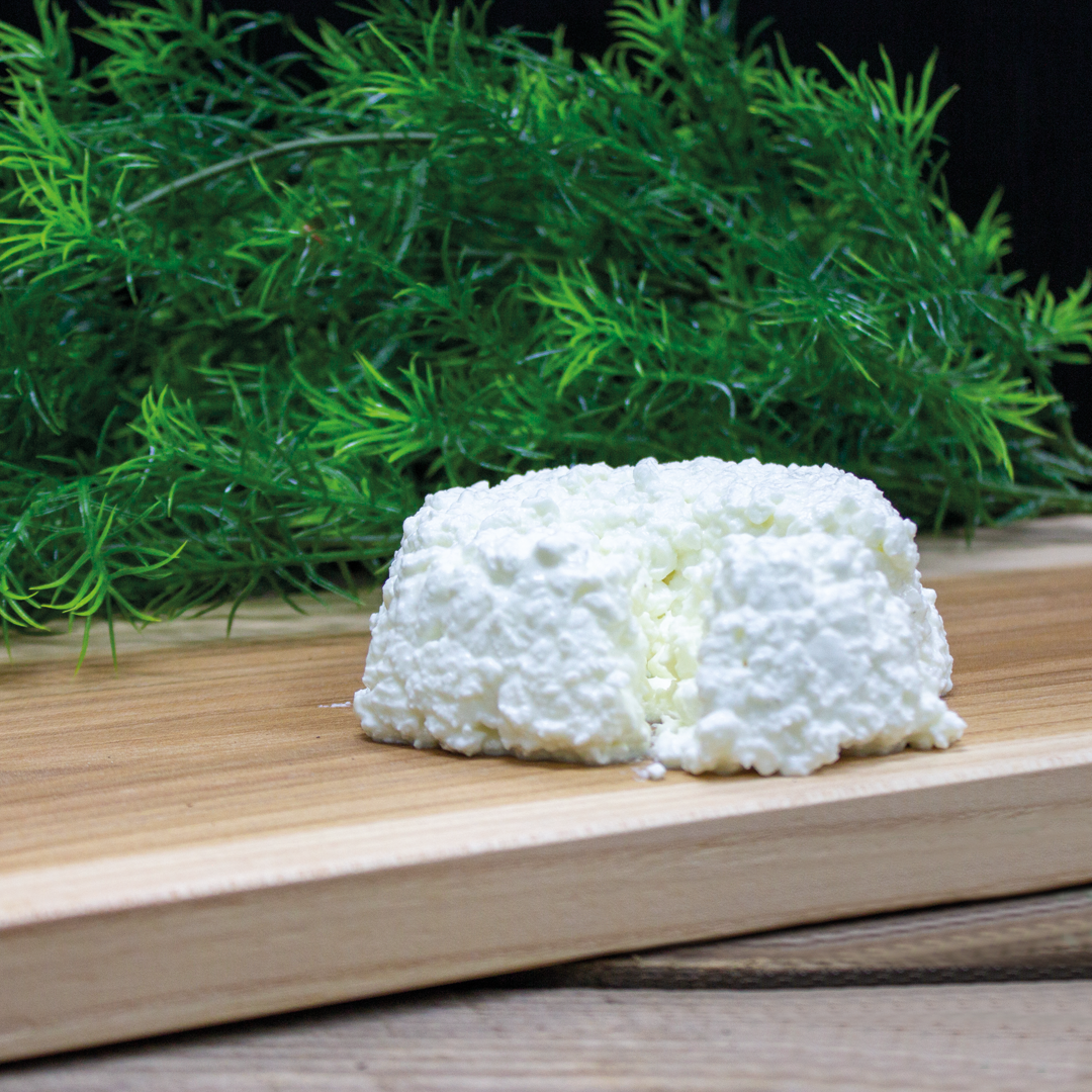 Wat is ricotta kaas?