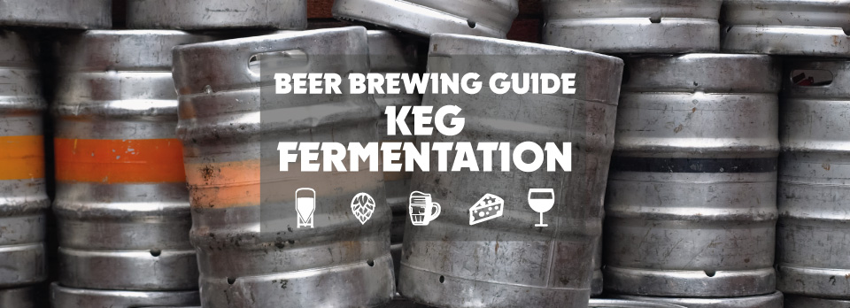 Beer Brewing Guide - KEG-Gärung