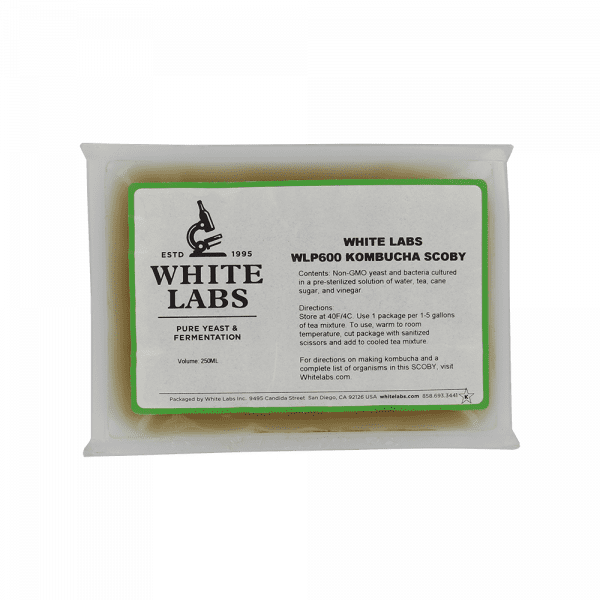 White Labs WLP600 Kombucha Scoby