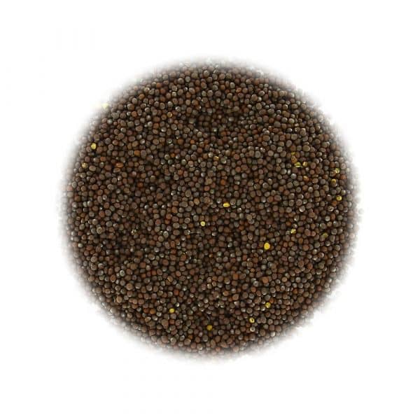 Moutarde graines brunes 100 g