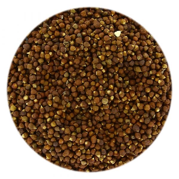Graines de paradis 50 g