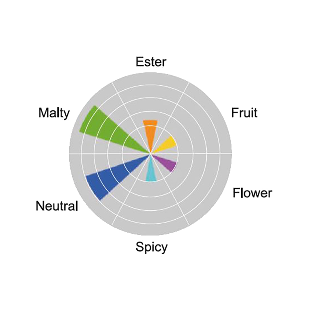 Angel BF16 ondergistende droge gist - 500 g