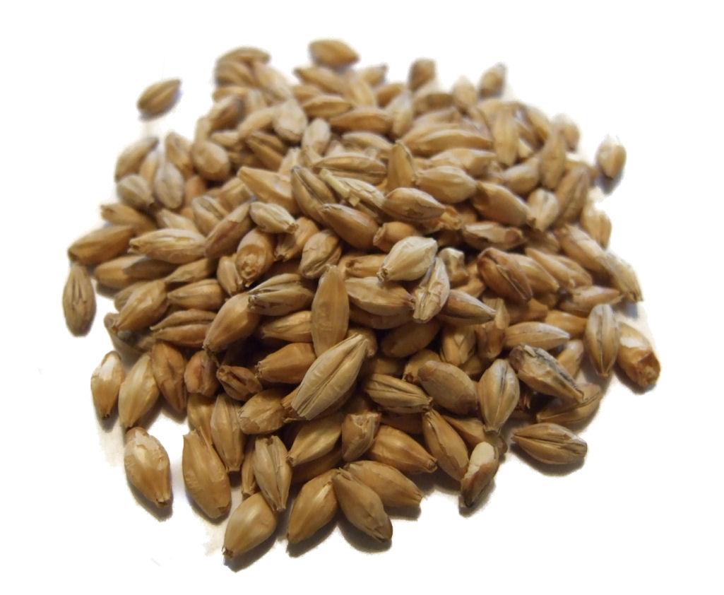 Golden Promise Pale Ale Mout (ca. 4 EBC) - Zak van 25 kg