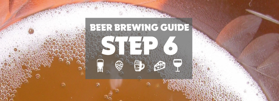 Beer Brewing Guide - Step 6: Vergisten