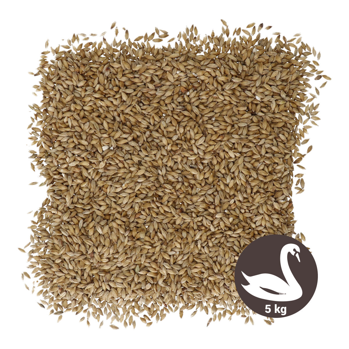 Swaen Pale Ale 5 kg 