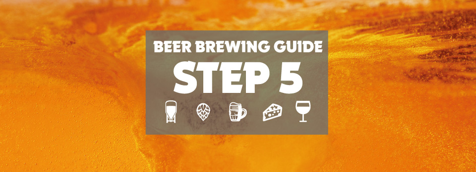 Beer Brewing Guide - Step 5: Whirlpool & Koelen