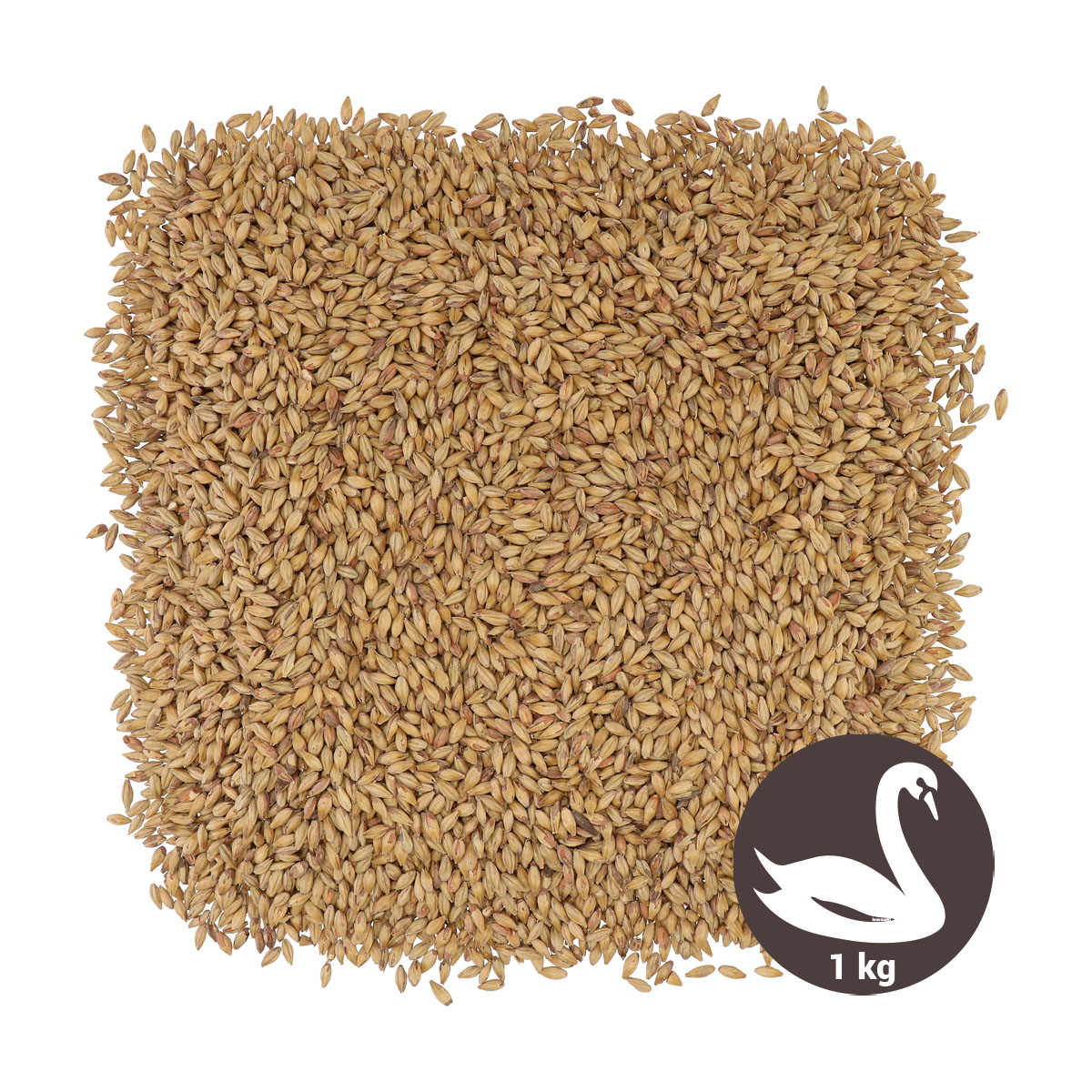 BlackSwaen Honey Biscuit 1 kg