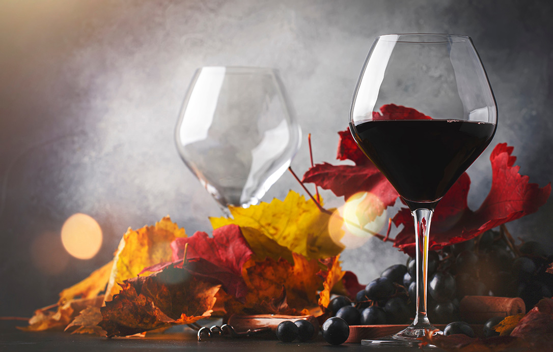 Autumn, the perfect time for making wine