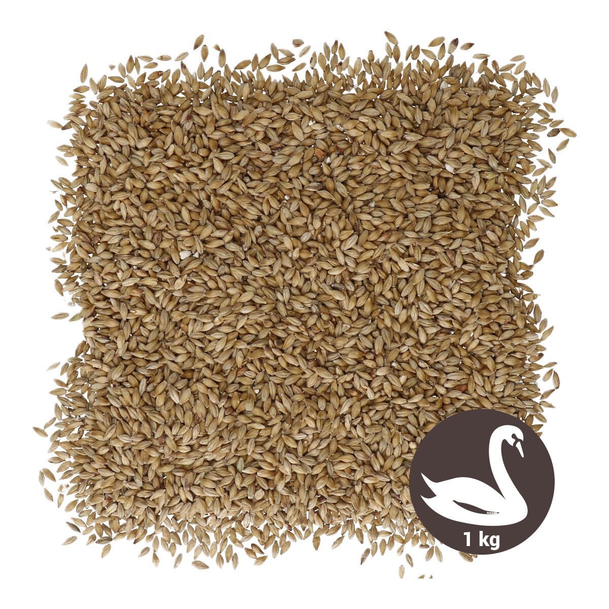 Swaen Pale Ale 1 kg - MHD 14.03.2023