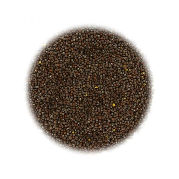 Mustard seed brown 100 g