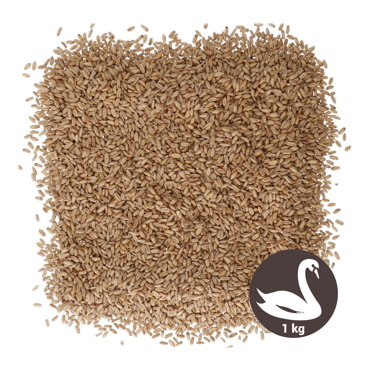 Swaen Spelt 1 kg