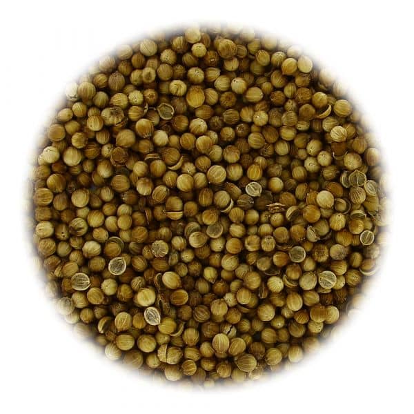 Coriandre fruits 100g