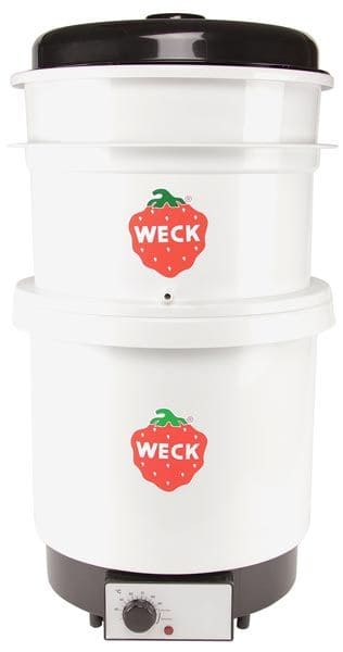 Système d'extracteur de jus à vapeur WSG-20K