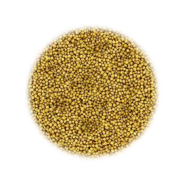 Moutarde graines jaunes 100 g