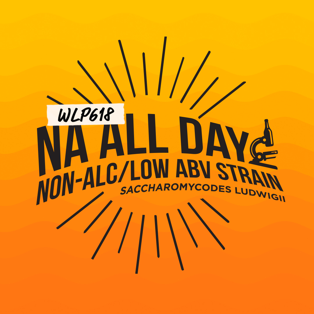 White Labs WLP618 NA All Day/Saccharomycodes ludwigii PurePitch™ NextG