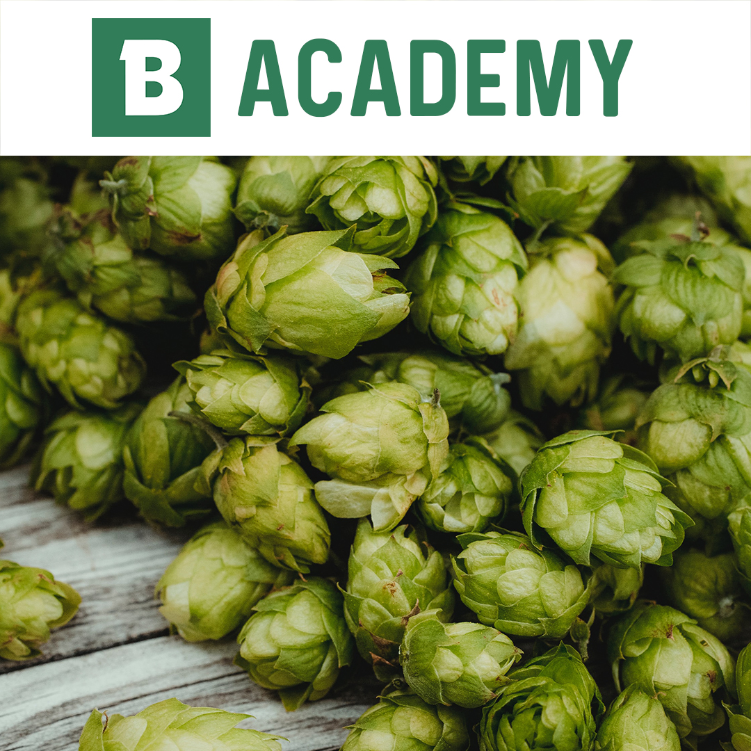 "From field to bottle: the future of hops"   Hollands Hophuis workshop